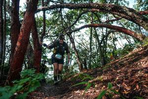 BIB: 
                            <button type="button" onclick="openModal(26345901)" class="btn btn-primary btn-sm float-right btn-popup" data-toggle="modal" data-target=".modal-high-quality">
                        <i class="fas fa-shopping-cart"></i> Add to Cart
                    </button>
                                            <button type="button" onclick="isThisMe(26345901, true)" class="btn btn-success btn-sm float-right btn-popup btn-isme hidden" data-toggle="tooltip" data-placement="bottom" title="นี่คือรูปของคุณใช่ไหม คลิกที่นี่เพื่อเอาเข้าอัลบั้ม">
                        <i class="fas fa-plus"></i> Add to album
                    </button>
                    <button type="button" onclick="isThisMe(26345901, false)" class="btn btn-warning btn-sm float-right btn-popup btn-isnotme hidden">
                        <i class="fas fa-ban"></i> Remove from album
                    </button>